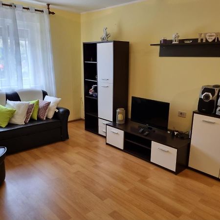 Apartment Sanja Pazin Exteriér fotografie
