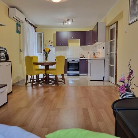 Apartment Sanja Pazin Exteriér fotografie
