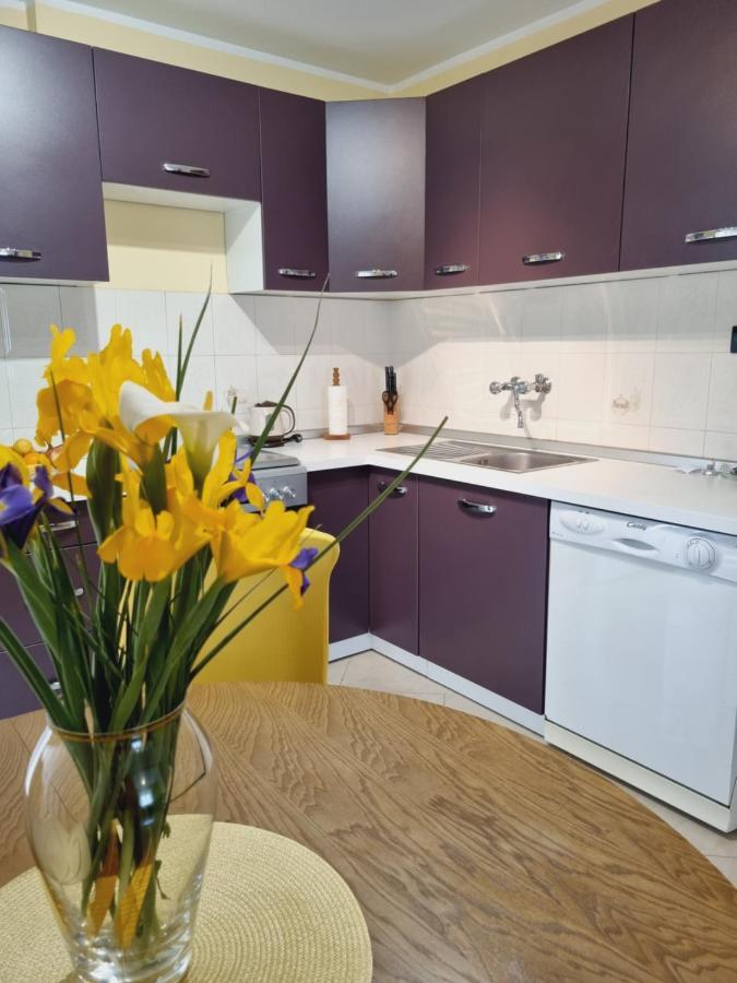 Apartment Sanja Pazin Exteriér fotografie